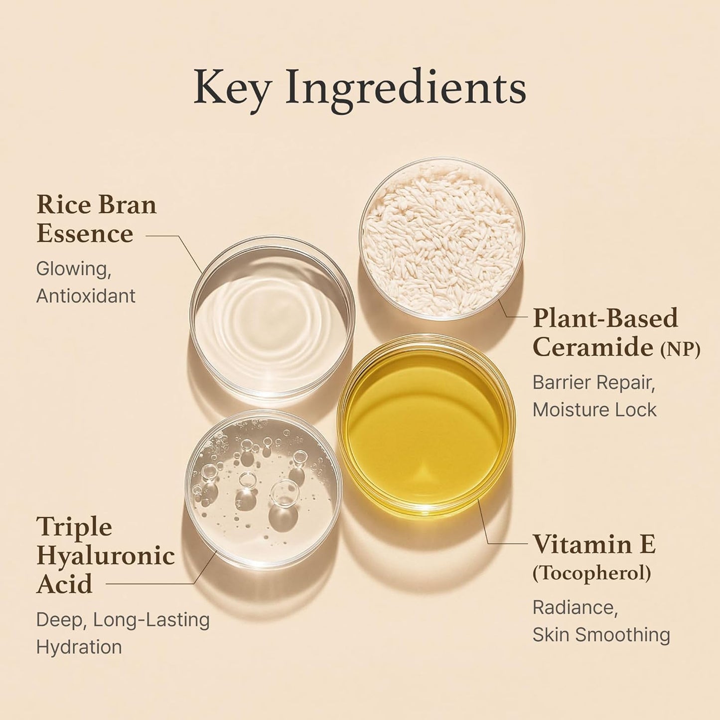 I'm from Rice Cream 1.69 Ounce, 41% Rice Bran Essence with Ceramide, Glowing Look, Improves Moisture Skin Barrier, Nourishes Deeply, Soothing to Even Out Skin Tone, Valentine's Gift